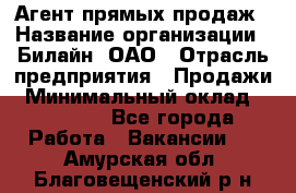 Агент прямых продаж › Название организации ­ Билайн, ОАО › Отрасль предприятия ­ Продажи › Минимальный оклад ­ 15 000 - Все города Работа » Вакансии   . Амурская обл.,Благовещенский р-н